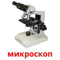 микроскоп Bildkarteikarten