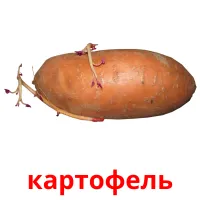 картофель карточки энциклопедических знаний