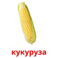 кукуруза card for translate
