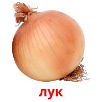 лук picture flashcards