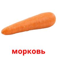 морковь card for translate