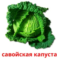 савойская капуста карточки энциклопедических знаний