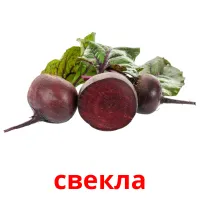 свекла карточки энциклопедических знаний