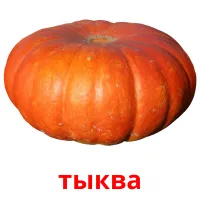 тыква карточки энциклопедических знаний