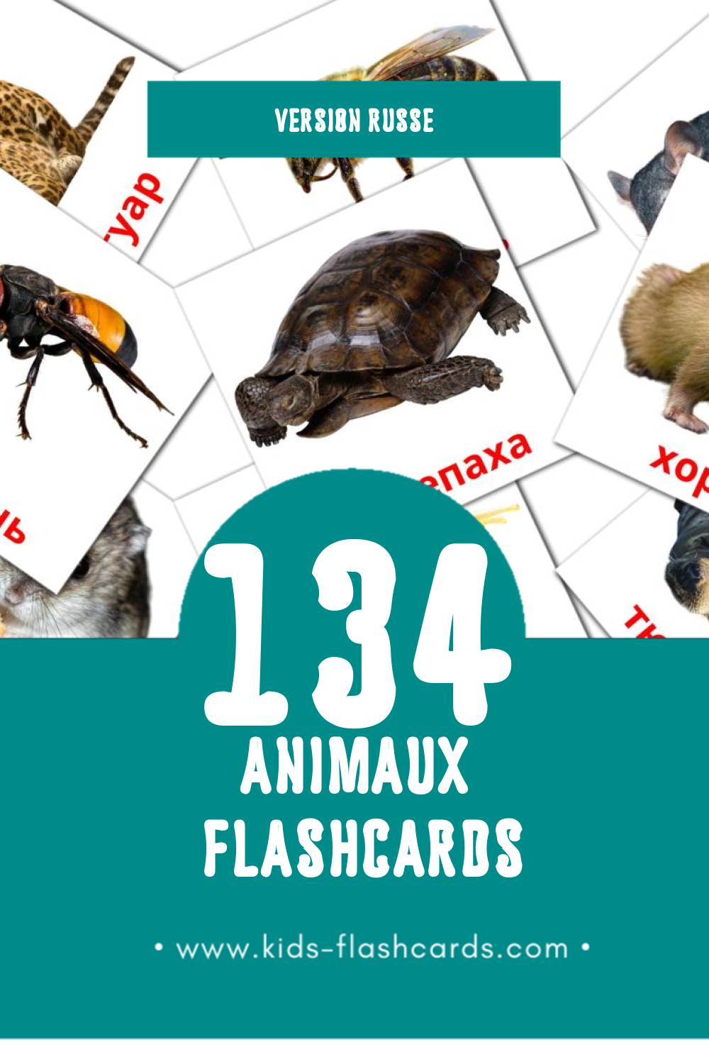 Flashcards Visual Животные pour les tout-petits (134 cartes en Russe)