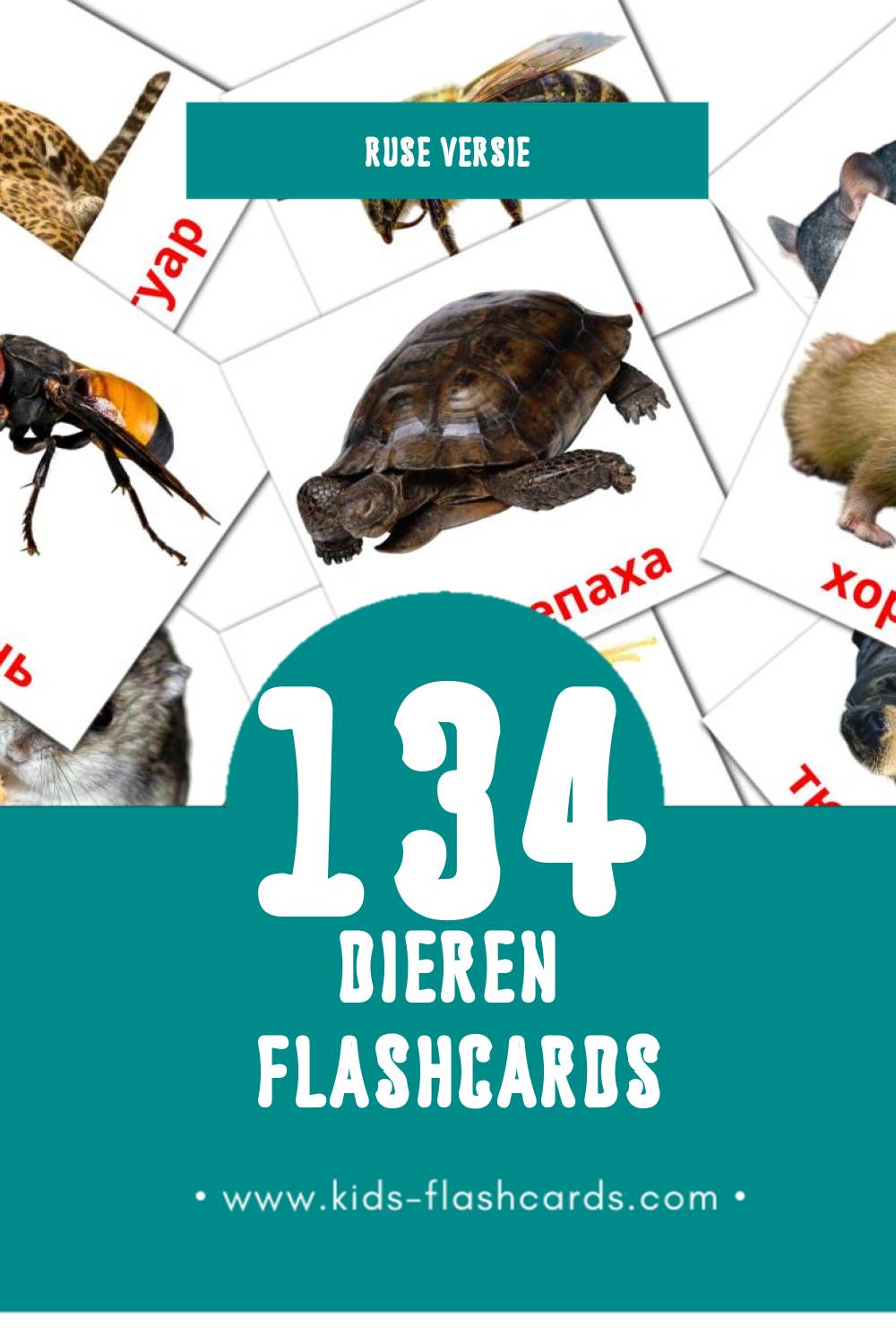 Visuele Животные Flashcards voor Kleuters (134 kaarten in het Rus)