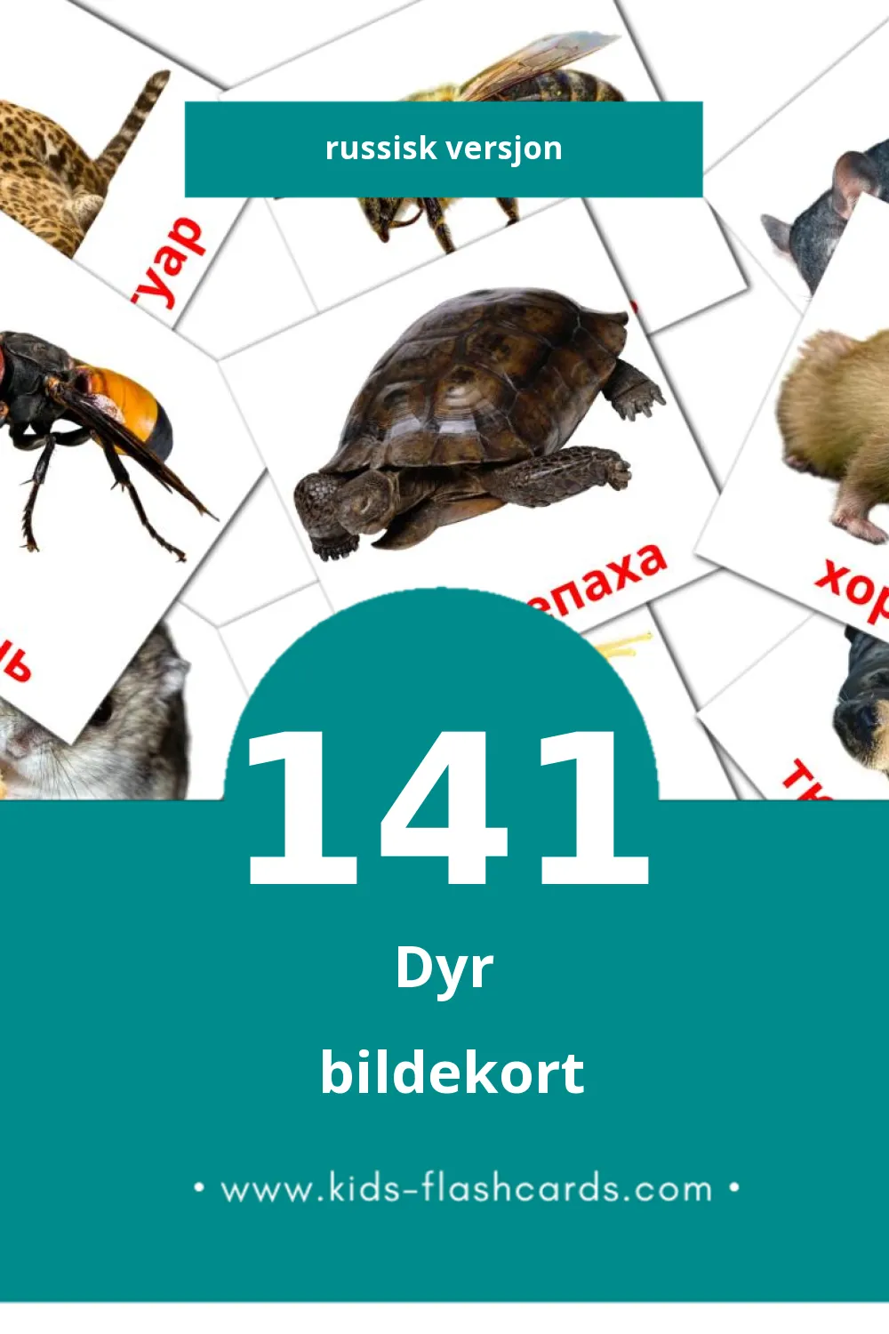 Visuelle Животные bildekort for småbarn (141 kort på Russisk)