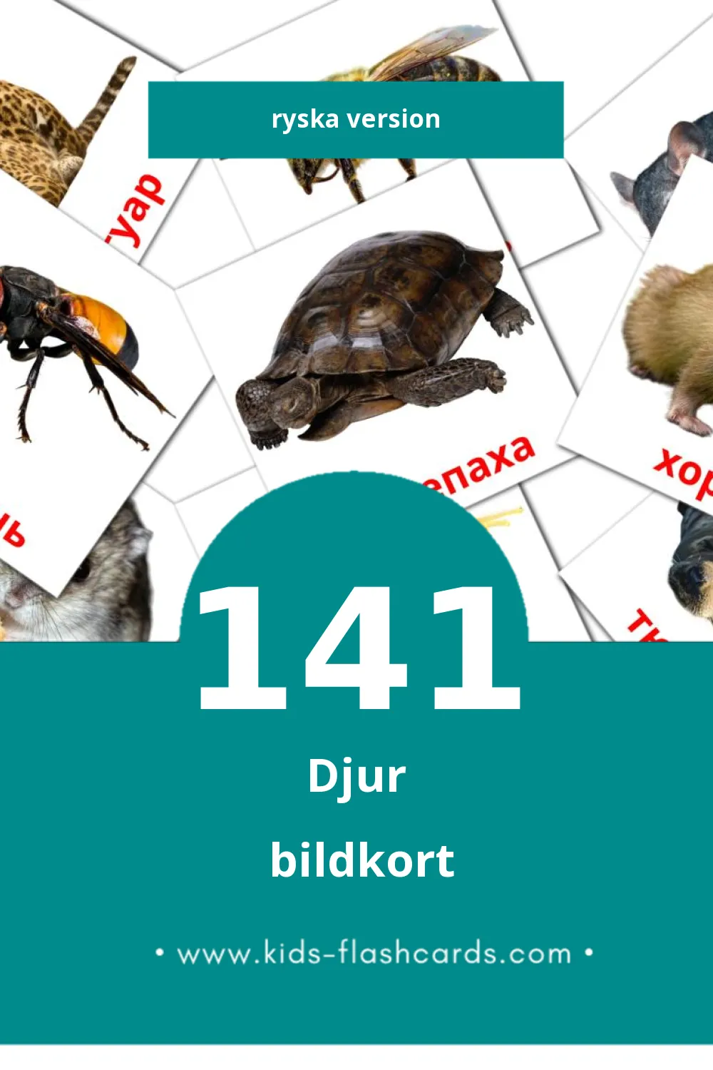 Visuella Животные för småbarn (141 bildkort för barn på Ryska)