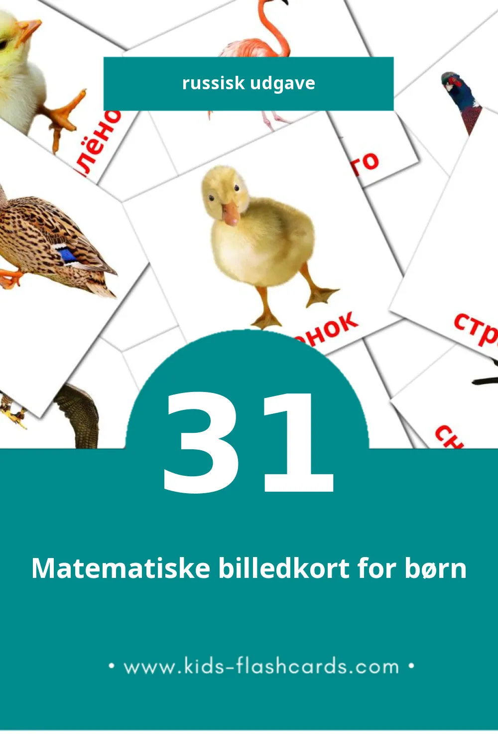 Visuelle billedkort for børn om Птицы til småbørn (31 kort på Russisk)