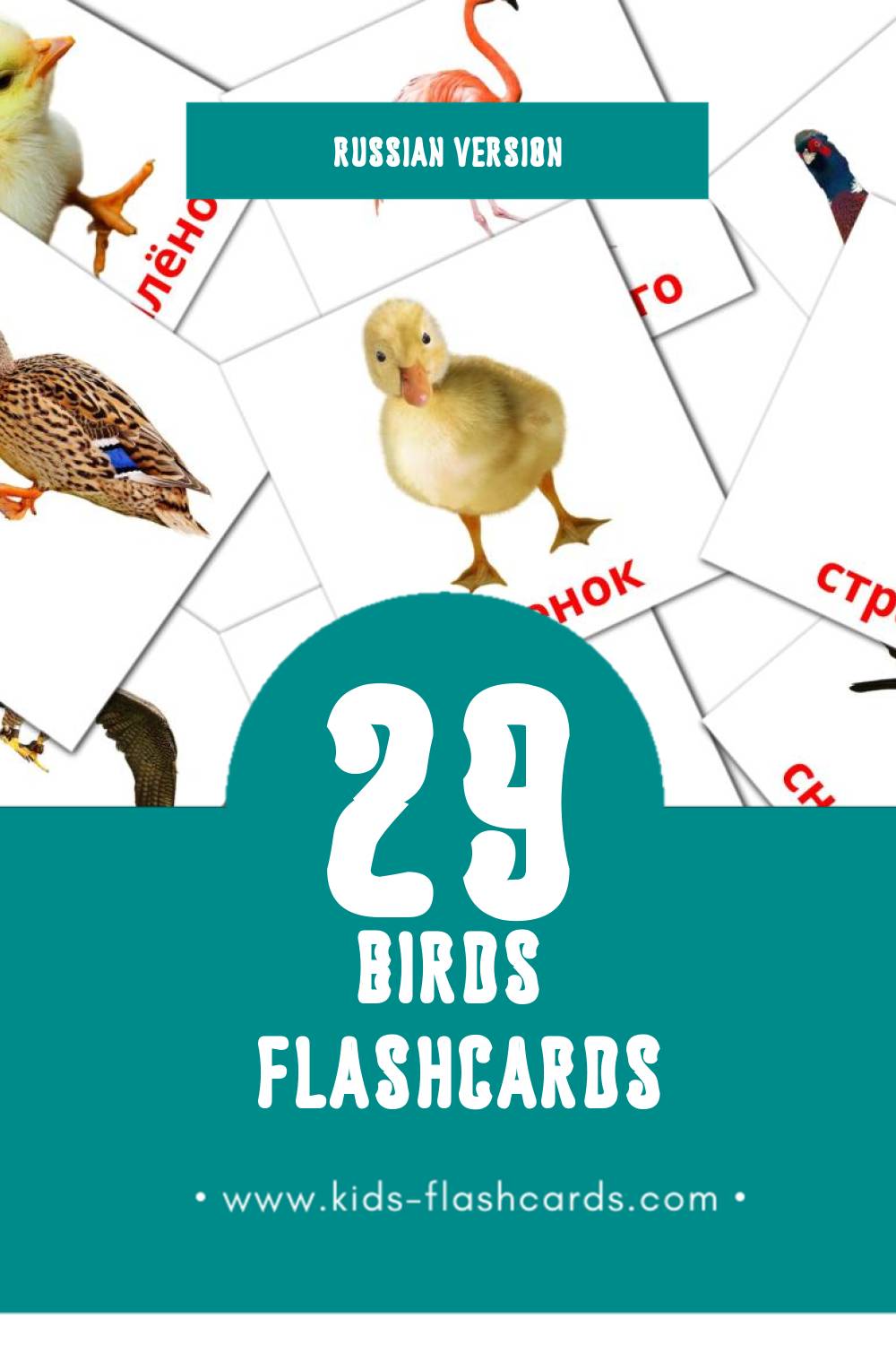 Visual Птицы Flashcards for Toddlers (29 cards in Russian)