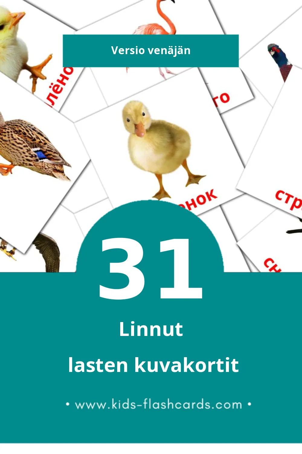Птицы lasten kuvakortit pikkulapsille (31 korttia Venäjänksi)