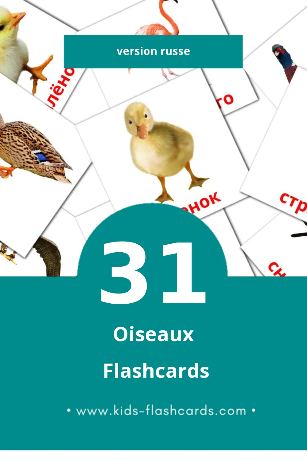 Flashcards Visual Птицы pour les tout-petits (31 cartes en Russe)