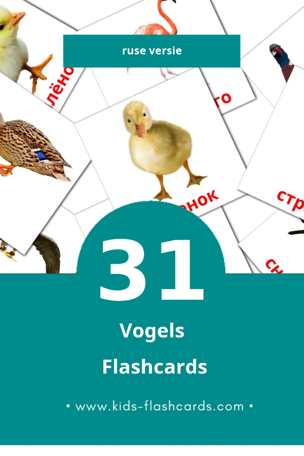 Visuele Птицы Flashcards voor Kleuters (31 kaarten in het Rus)