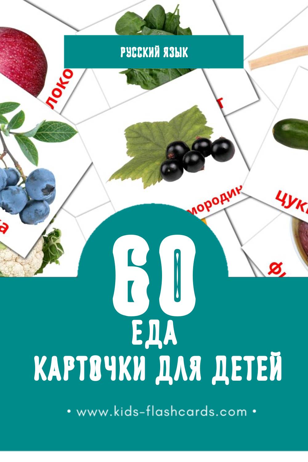 "Еда" - Визуальный Русском Словарь для Малышей (60 картинок)