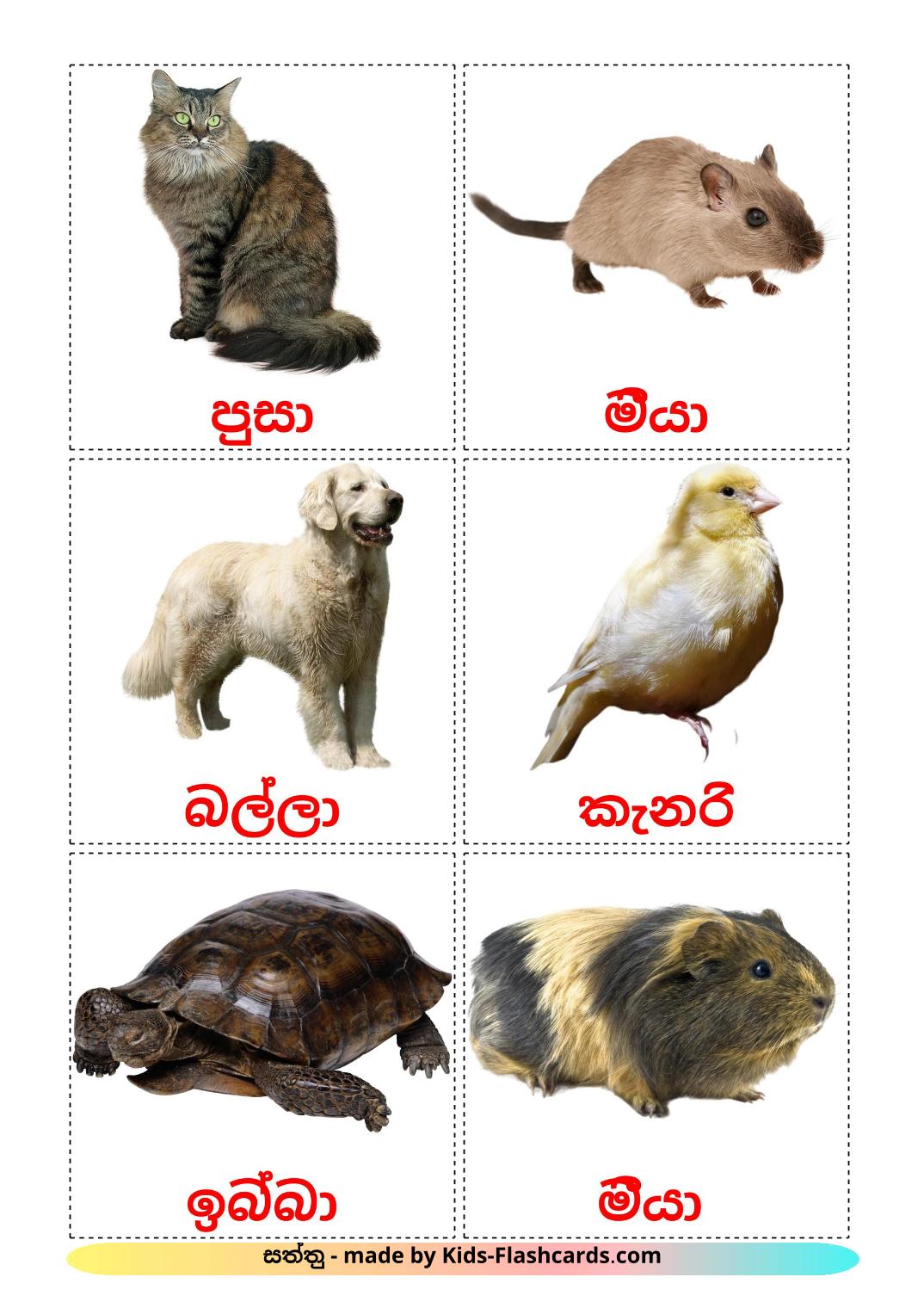 Domestic animals - 10 Free Printable sinhala Flashcards 