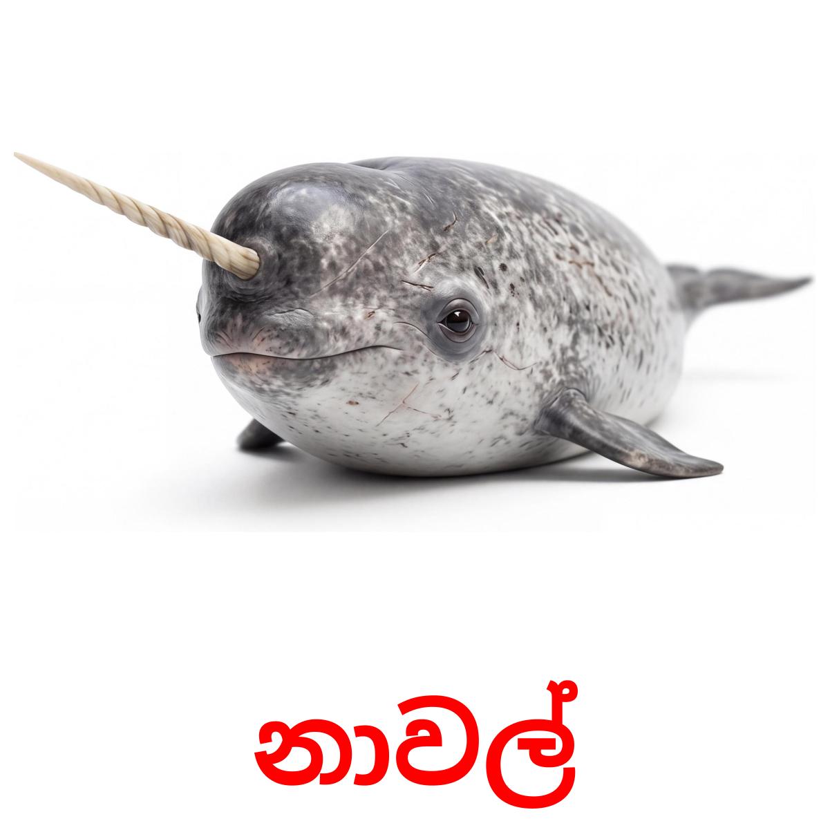 30 Printable Sea animals Flashcards in Sinhala (Free PDF)