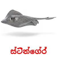 30 Printable Sea animals Flashcards in Sinhala (Free PDF)