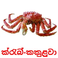 ක්‍රැබ්-කකුළුවා picture flashcards