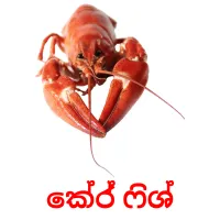 ක්‍රේ ෆිශ් picture flashcards