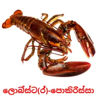 ලොබ්ස්ට(ර්)-පොකිරිස්සා picture flashcards