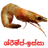 ශ්‍රිම්ප්-ඉස්සා picture flashcards