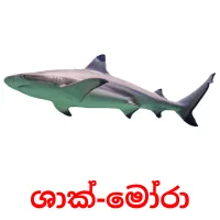 ශාක්-මෝරා picture flashcards