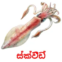 ස්ක්වීඩ් picture flashcards