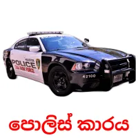 පොලිස් කාරය cartes flash