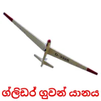 ග්ලිඩර් ගුවන් යානය flashcards illustrate