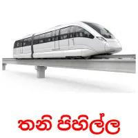 තනි පිහිල්ල Tarjetas didacticas