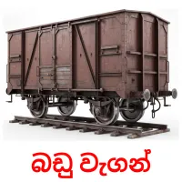 බඩු වැගන් Tarjetas didacticas