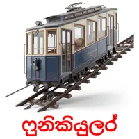 ෆුනිකියුලර් Tarjetas didacticas