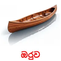 ඔරුව Tarjetas didacticas