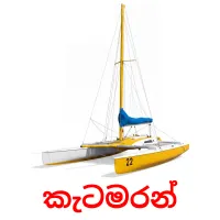 කැටමරන් Tarjetas didacticas