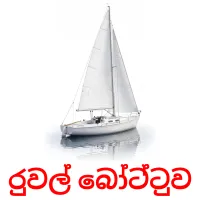 රුවල් බෝට්ටුව Tarjetas didacticas