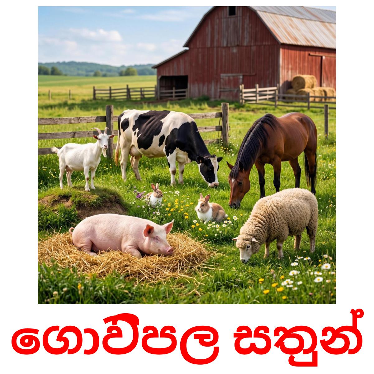 16 Printable Farm animals Flashcards in Sinhala (Free PDF)