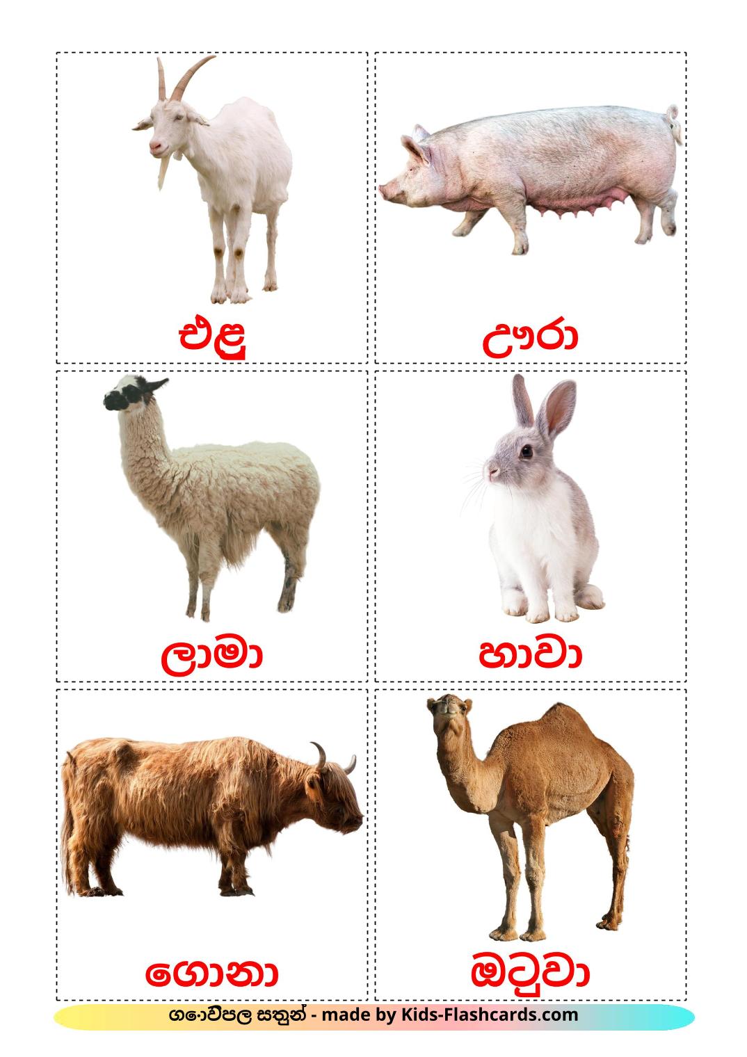 Животные в деревне - 15 Карточек Домана на сингальском