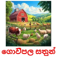 ගොවිපල සතුන් cartes flash