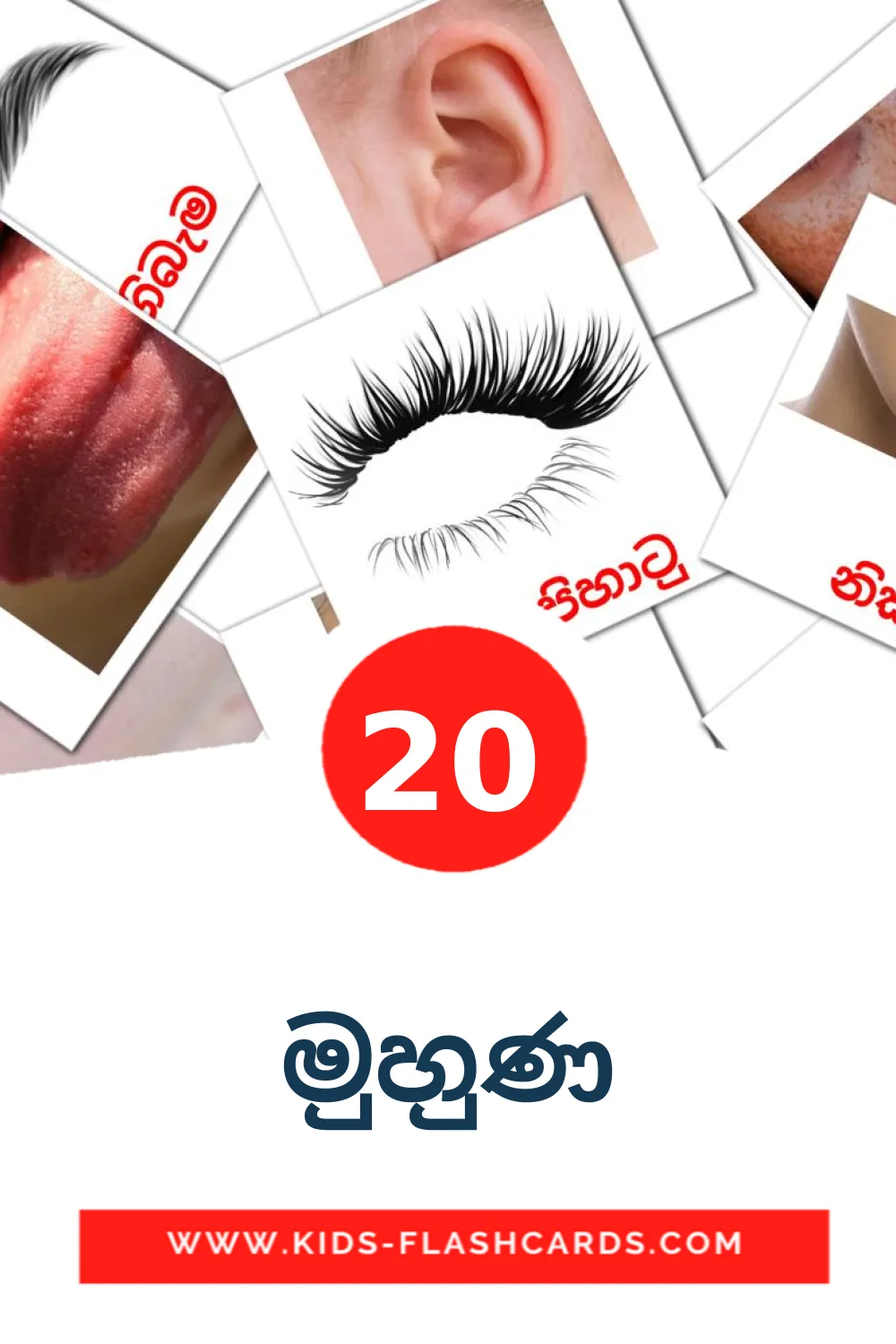 20 මුහුණ Picture Cards for Kindergarden in sinhala