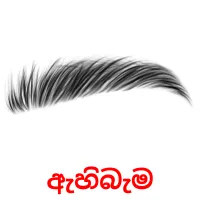 ඇහිබැම picture flashcards