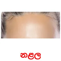 නළල picture flashcards