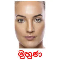 මුහුණ picture flashcards