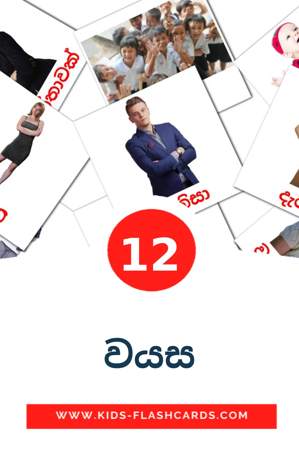 12 වයස Picture Cards for Kindergarden in sinhala