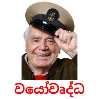 වයෝවෘද්ධ picture flashcards