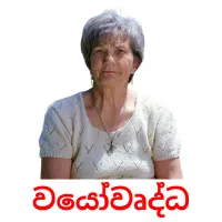 වයෝවෘද්ධ picture flashcards