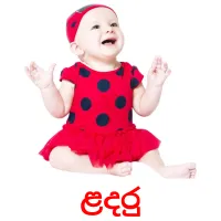 ළදරු picture flashcards