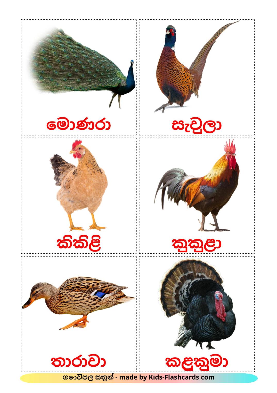 Les Oiseaux de Ferme - 11 Flashcards cinghalais imprimables gratuitement