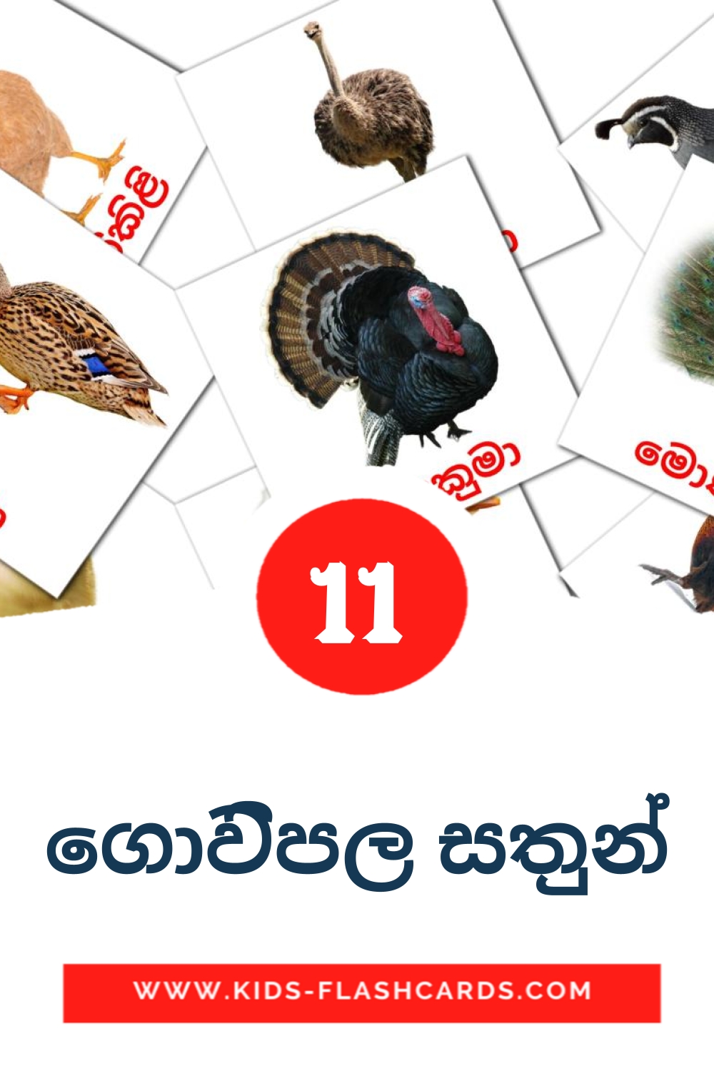 11 cartes illustrées de ගොවිපල සතුන් pour la maternelle en cinghalais