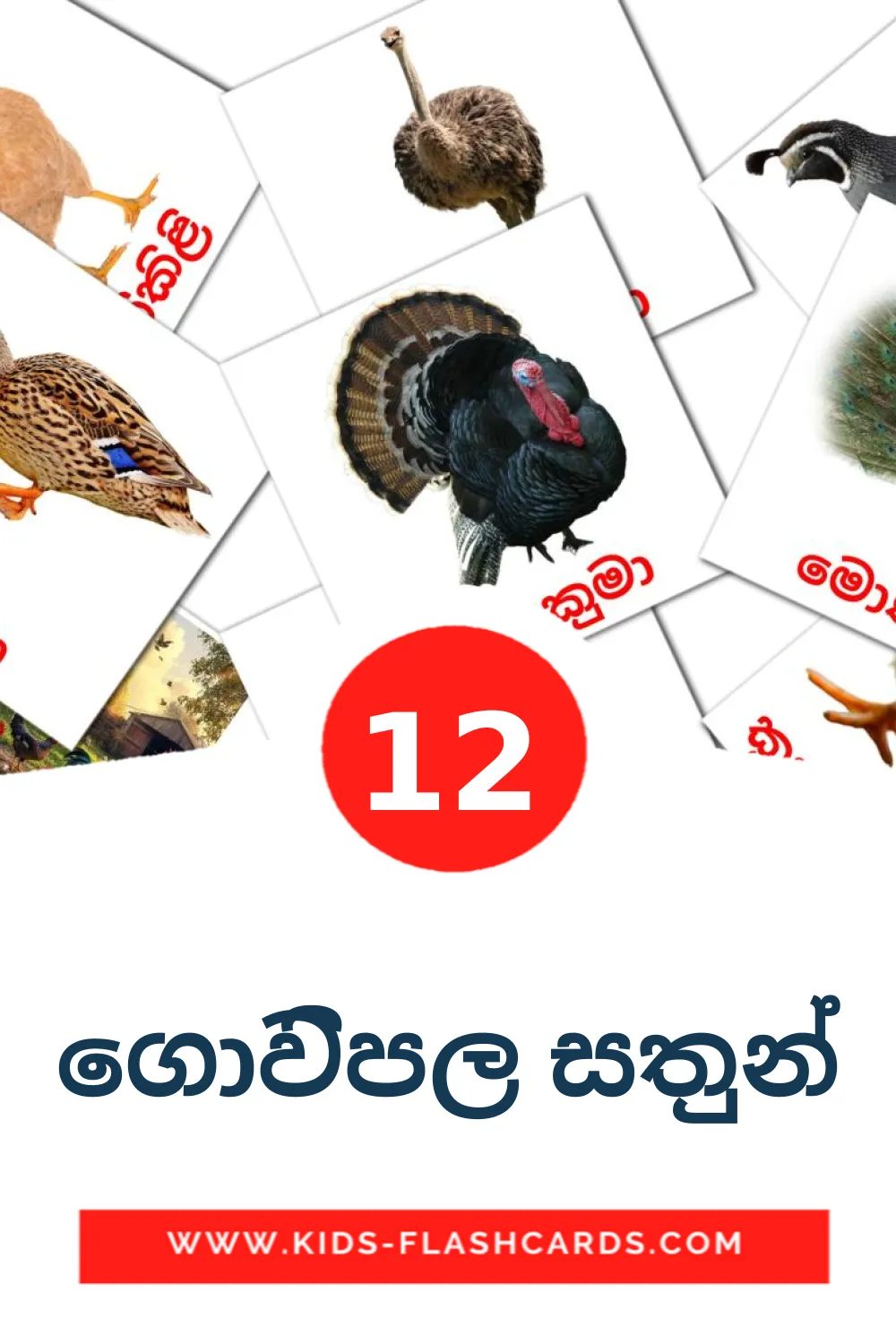 12 carte illustrate di ගොවිපල සතුන් per la scuola materna in singalese