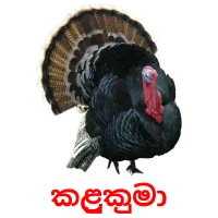 කළුකුමා flashcards illustrate